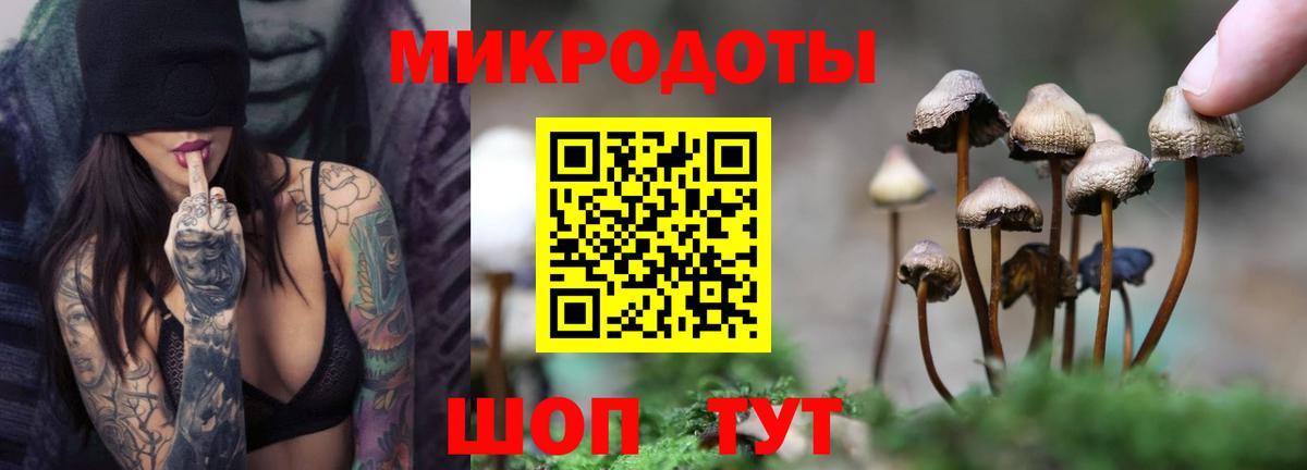 Галлюциногенные грибы ЛСД Грязи
